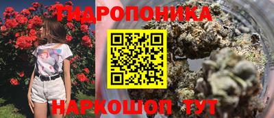 кокс Уссурийск