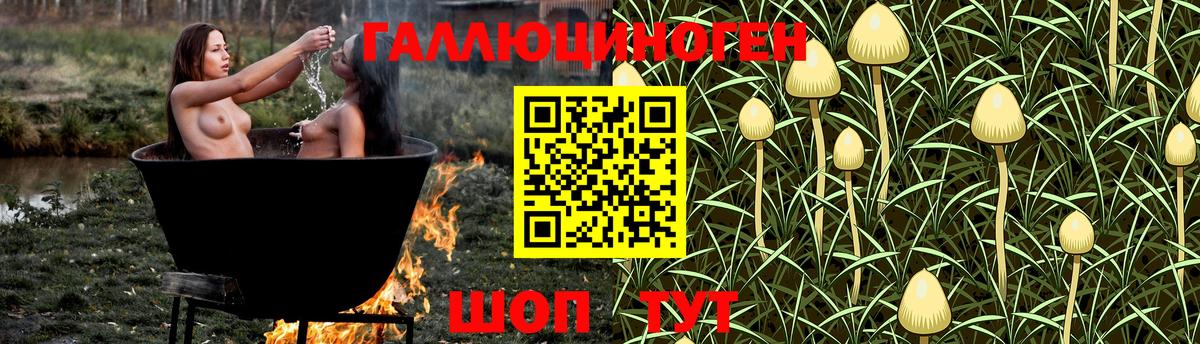 Нижневартовск  Галлюциногенные грибы прущие грибы  Вход с VPN 